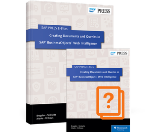 Cover von Creating Documents and Queries in SAP BusinessObjects Web Intelligence