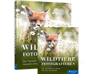 Cover von Wildtiere fotografieren