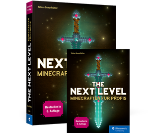 Cover von The Next Level