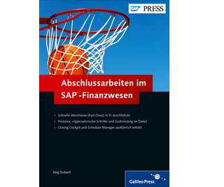 Cover von Abschlussarbeiten im SAP-Finanzwesen