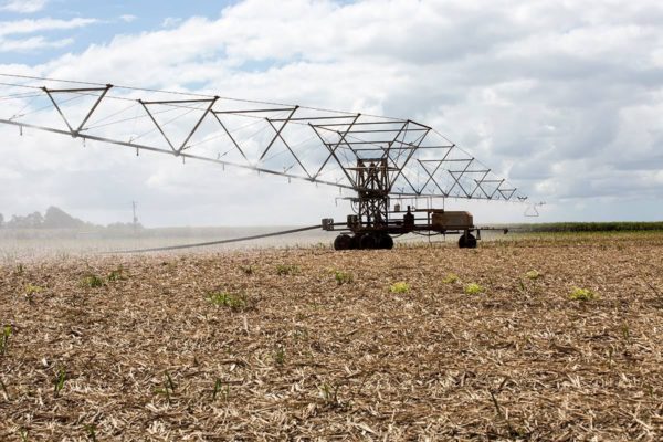 Farming
