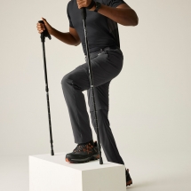 Regatta Men's Anti-Insect Travel Light Cargo Trousers "Ash Grey"