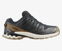 Salomon XA PRO 3D V9 GTX Lifelong M "Black Coyote"