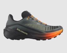 Salomon Genesis 2 "Urban Chic/Lime Cream"