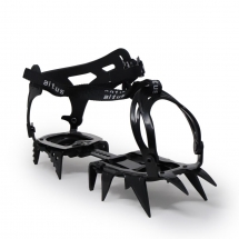 Altus Crampon Posets