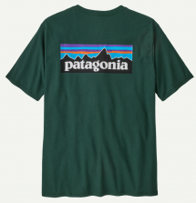 Patagonia Men's P-6 Logo Responsibili-Tee "Cascade Green"