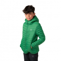 Altus Llardana "Verde"