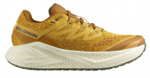 Salomon Aero Glide 3 GRVL "Spicy Mustard"