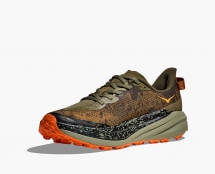 Hoka Speedgoat 6 