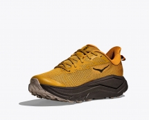 Hoka Challenger 8