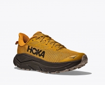 Hoka Challenger 8