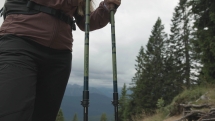 Leki Legacy Lite