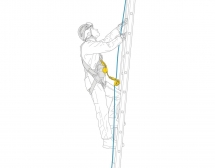 Petzl Asap'Sorber Int 20cm
