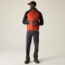 Regatta Men's Anti-Insect Travel Light Cargo Trousers 