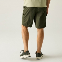 Regatta Men's Arlery Short 