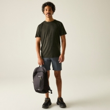 Regatta Men's Fingal Edition Marl T-Shirt 