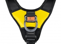 Petzl Astro® Bod Fast versión internacional 