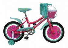 R16 Supermex Ng-Colores