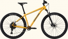 CANNONDALE TRAIL 5 MGO LG 