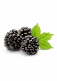 MORA VAP FIP 10 ML