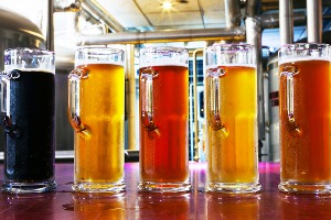 Dégustation de bières  pour mon EVG à Amsterdam | Enterrement de vie de garçon | idée enterrement de vie de garçon | activité enterrement de vie de garçon | idée evg | activité evg