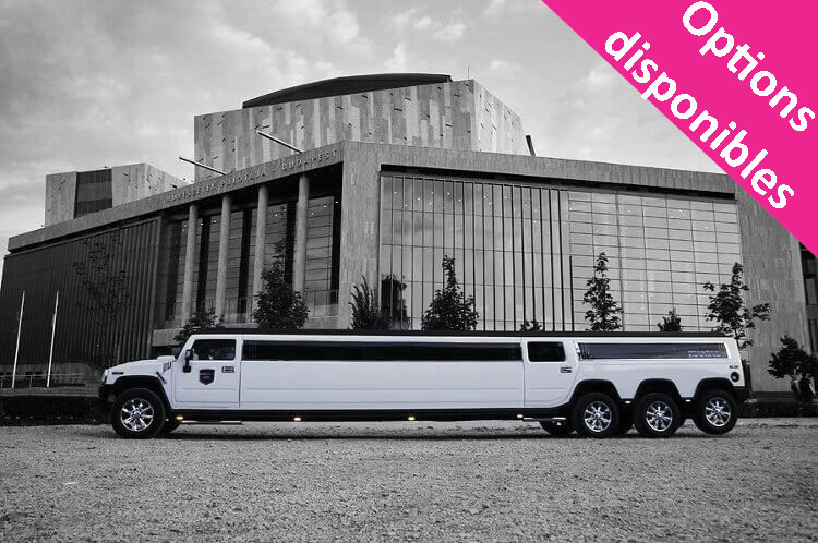 Transfert Hummer Aéroport Modlin pour mon EVG à Varsovie | Enterrement de vie de garçon | idée enterrement de vie de garçon | activité enterrement de vie de garçon | idée evg | activité evg
