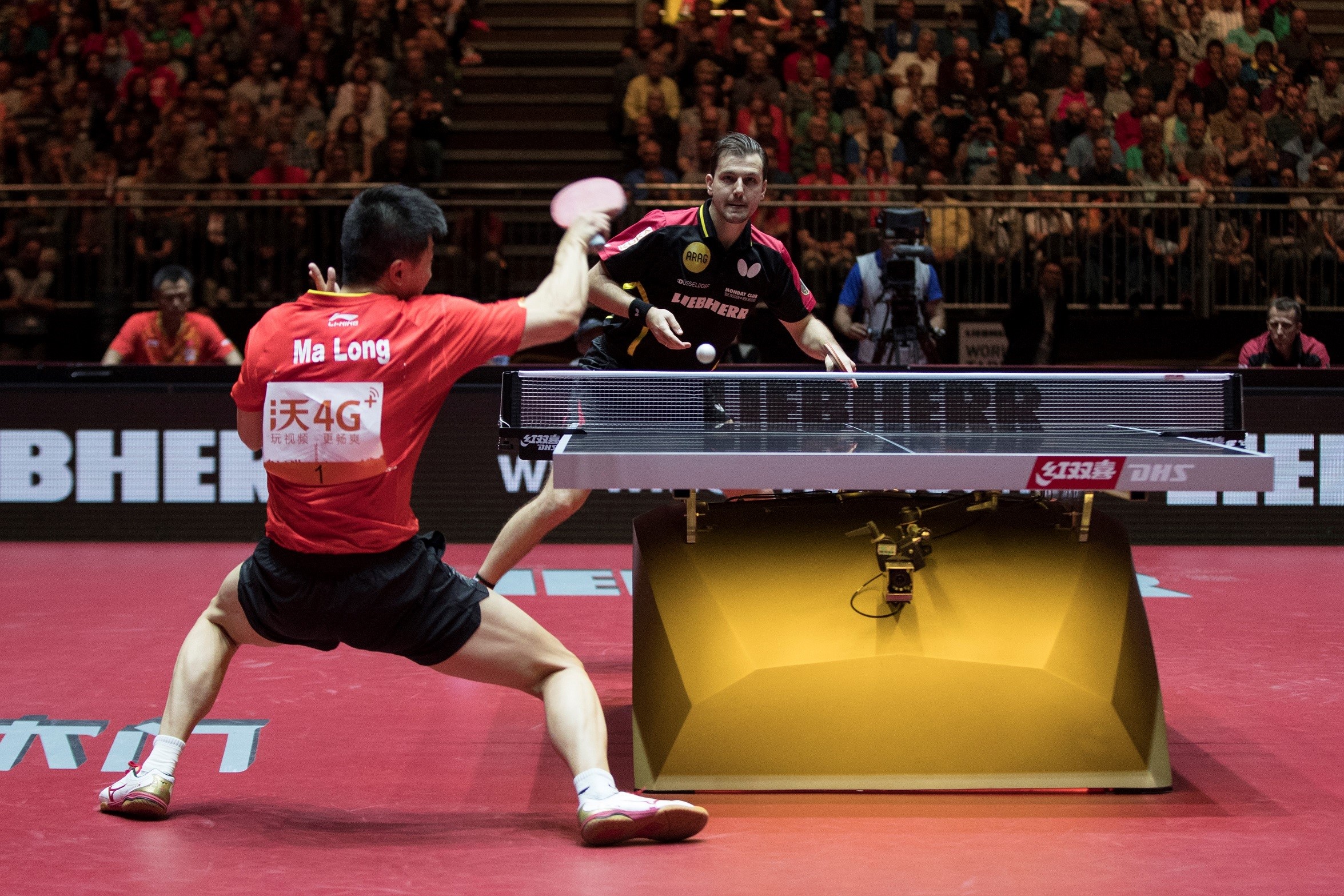 Timo Boll 