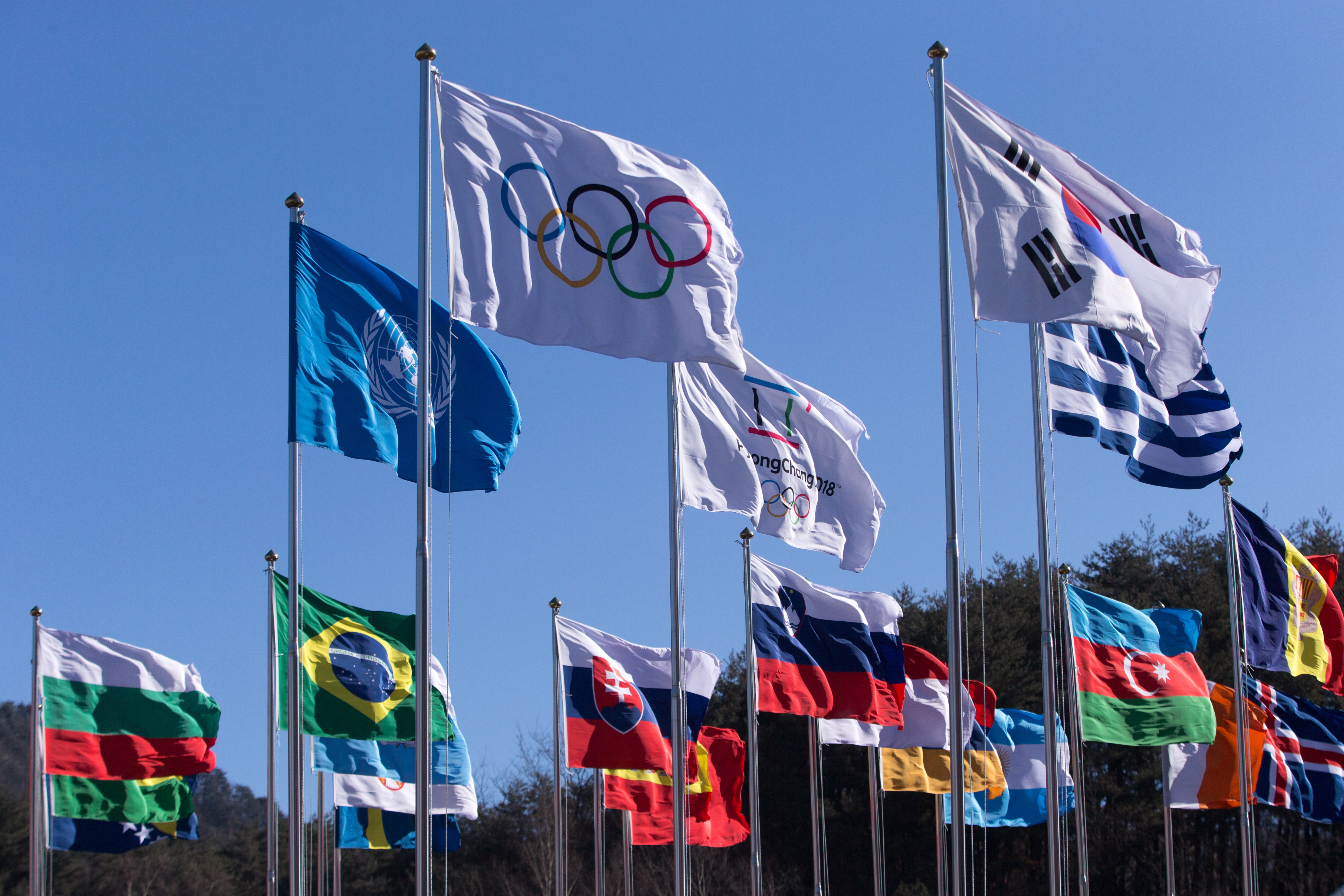 Olympic flags