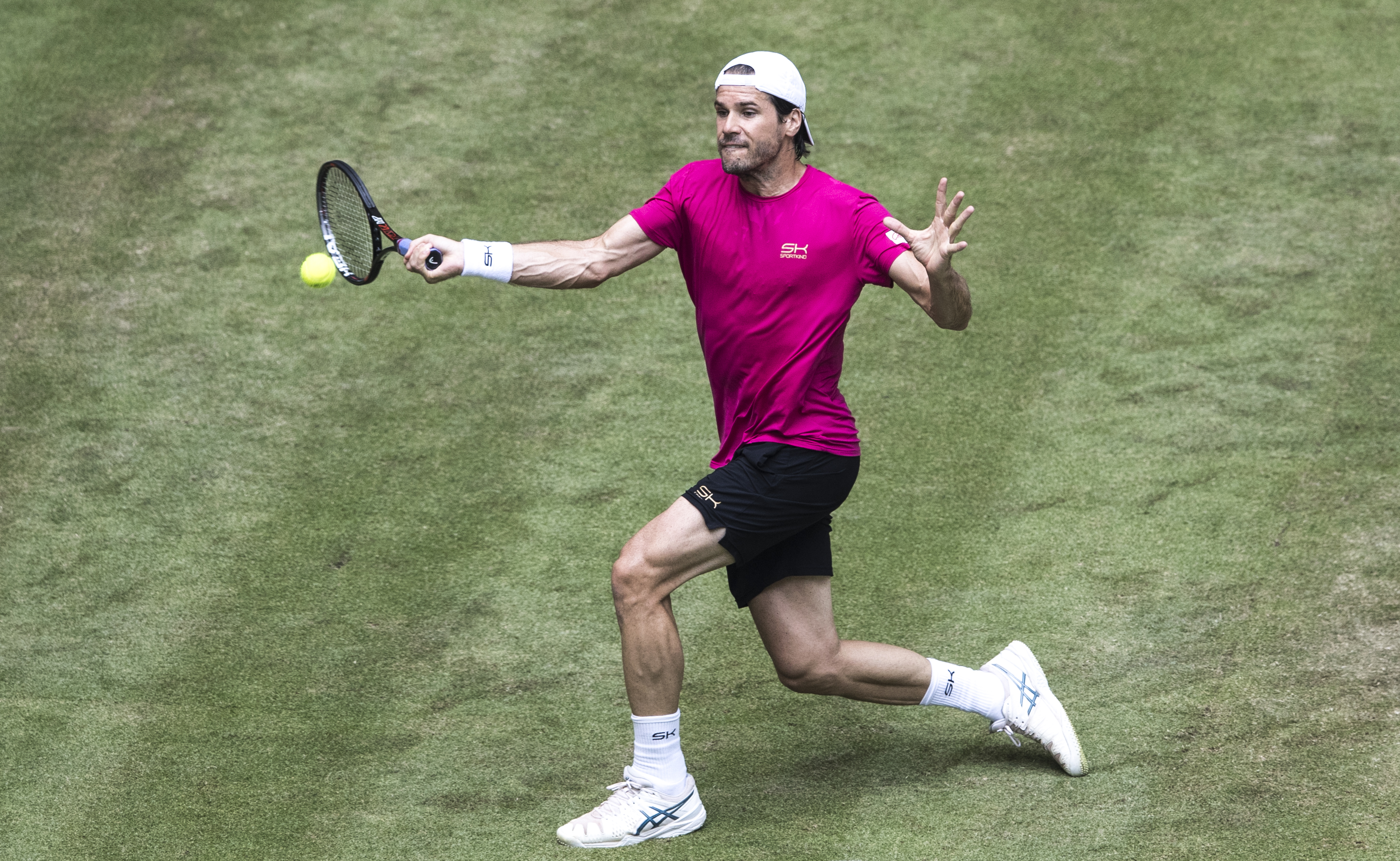 Tommy Haas returns to grass court action