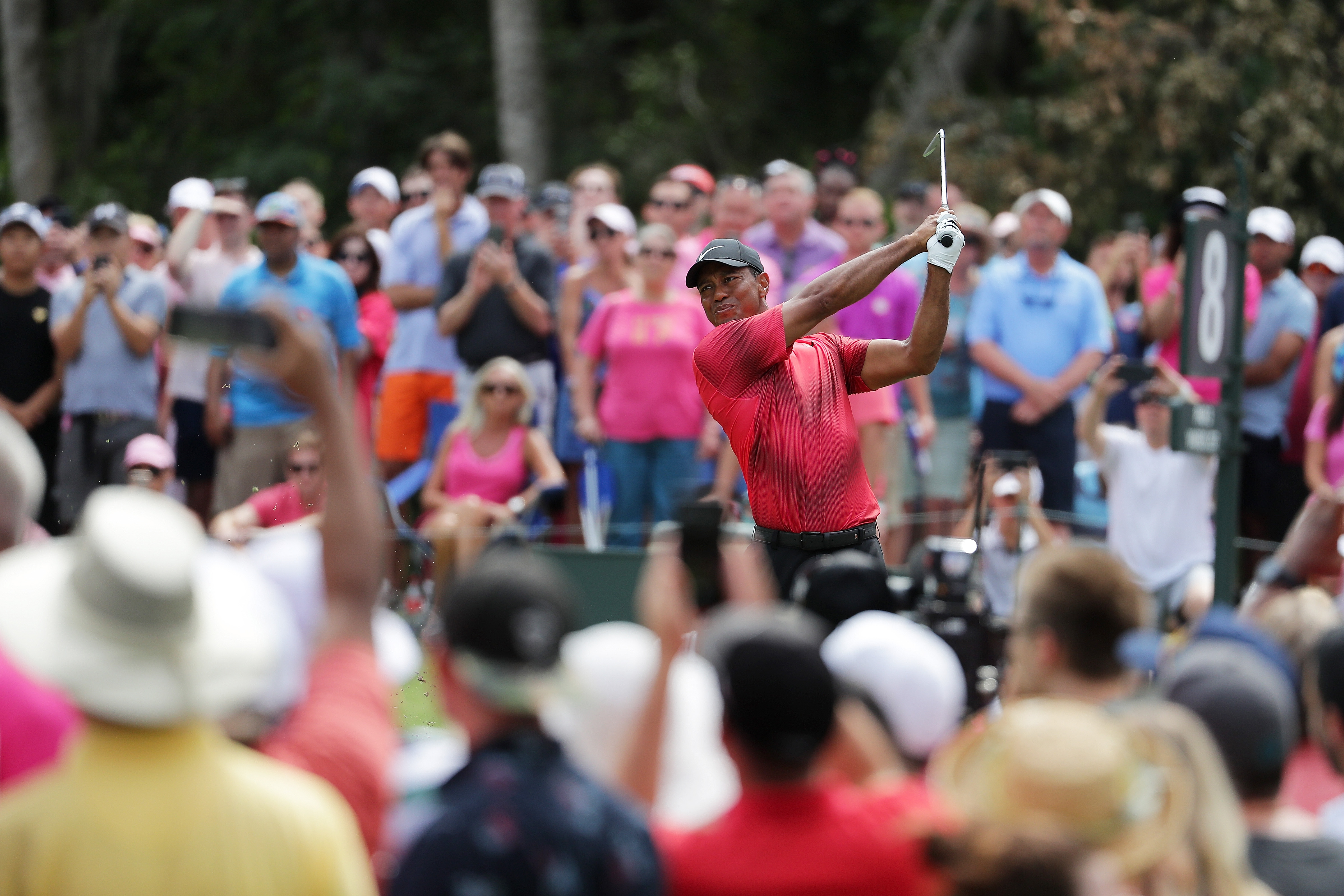 Tiger Woods