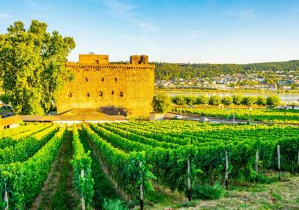 Verblijf in de gezellige wijnstad Rüdesheim am Rhein incl. welkomstdrankje, ontbijt en 2-gangendiner!