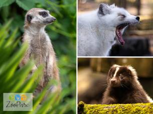 Entree ZooParc Vall&eacute;e de la S&ucirc;re
