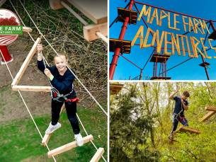 2 uur klimmen + materiaal en instructies
