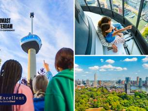 Entree Euromast + evt. Euroscoop