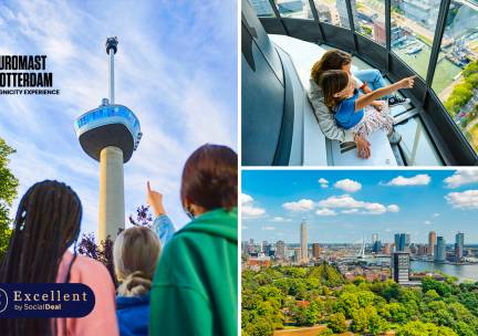 Entree Euromast + evt. Euroscoop