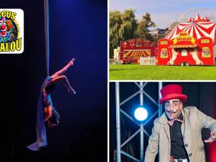 Entree Circus Bolalou Zomertour