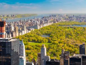 New York & Cape Cod