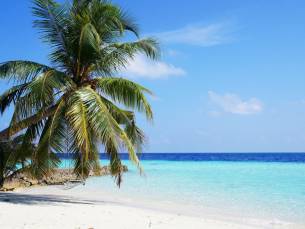 Best Deal De Wonderen van Sri Lanka en Malediven