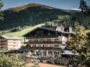 Der Gollinger