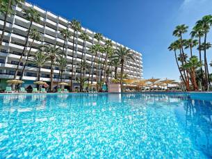 Bull Eugenia Victoria en Spa