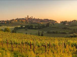 Fly-drive van Florence tot de Tyrreeense kust 14 dagen