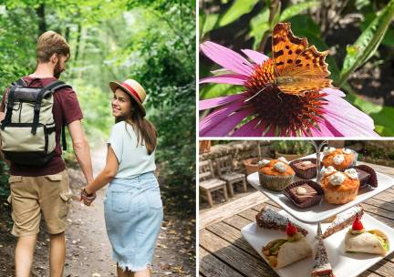 Mini-proeverij + evt. wandeling + koffie/thee en gebak bij Jorine's Theetuin