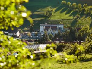 Landhotel Wilder Mann