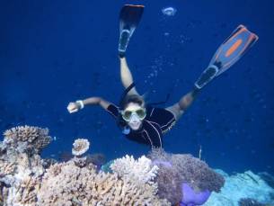 Gangehi Island Resort