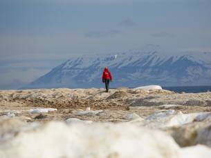 Nord-Spitzbergen-Entdecker - Ins Packeis - Spezialreise zu Eisbären und Walen