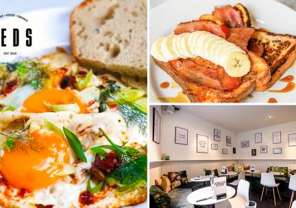 Brunch- of lunchgerecht naar keuze bij Teds Amsterdam Oud-West