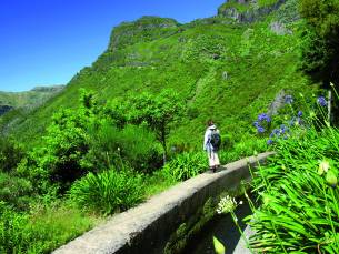 Fly & Drive Quinta's van Madeira