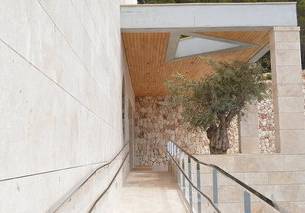 Seth 55 Santo Tom&aacute;s