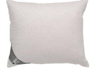 Ten Cate Double Face Eendendonzen Hoofdkussen
