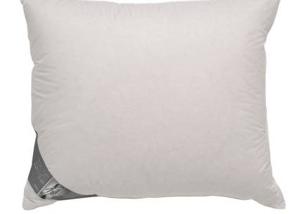 Ten Cate Double Face Eendendonzen Hoofdkussen